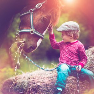 Little boy with a horse in summer